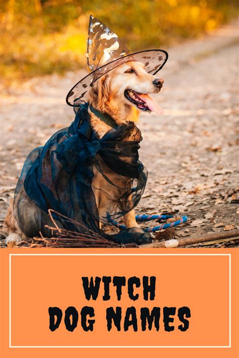 Witchy names for dogs